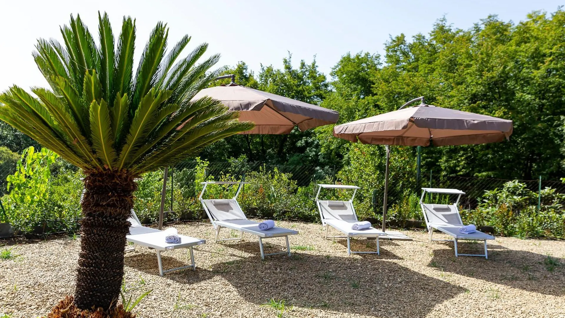 La Suite Di Dagala Del Re Santa Venerina